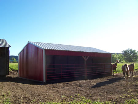 20x32 Loafing Shed Piedmont
